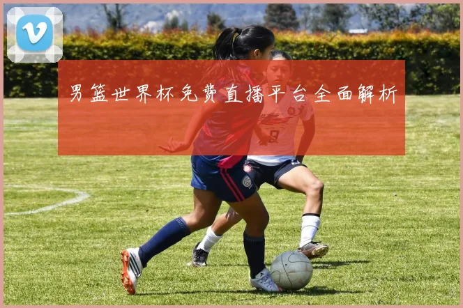 男篮世界杯免费直播平台全面解析
