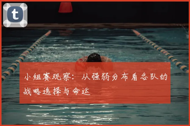 小组赛观察：从强弱分布看各队的战略选择与命运