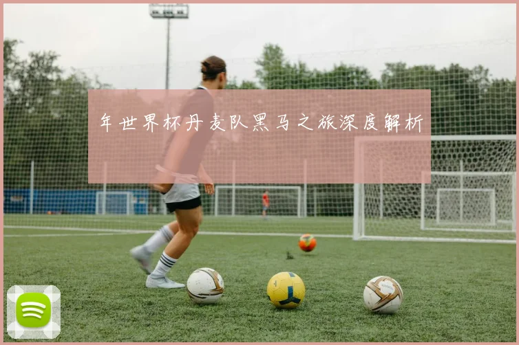 年世界杯丹麦队黑马之旅深度解析
