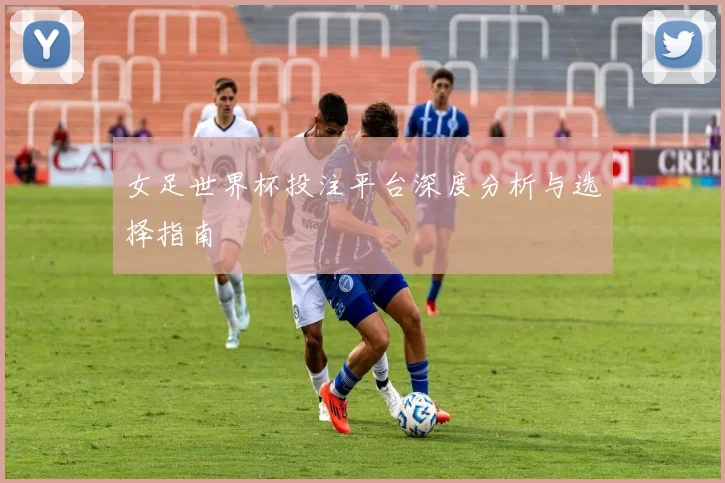 女足世界杯投注平台深度分析与选择指南