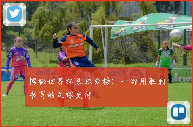 揭秘世界杯总积分榜:一部用胜利书写的足球史诗